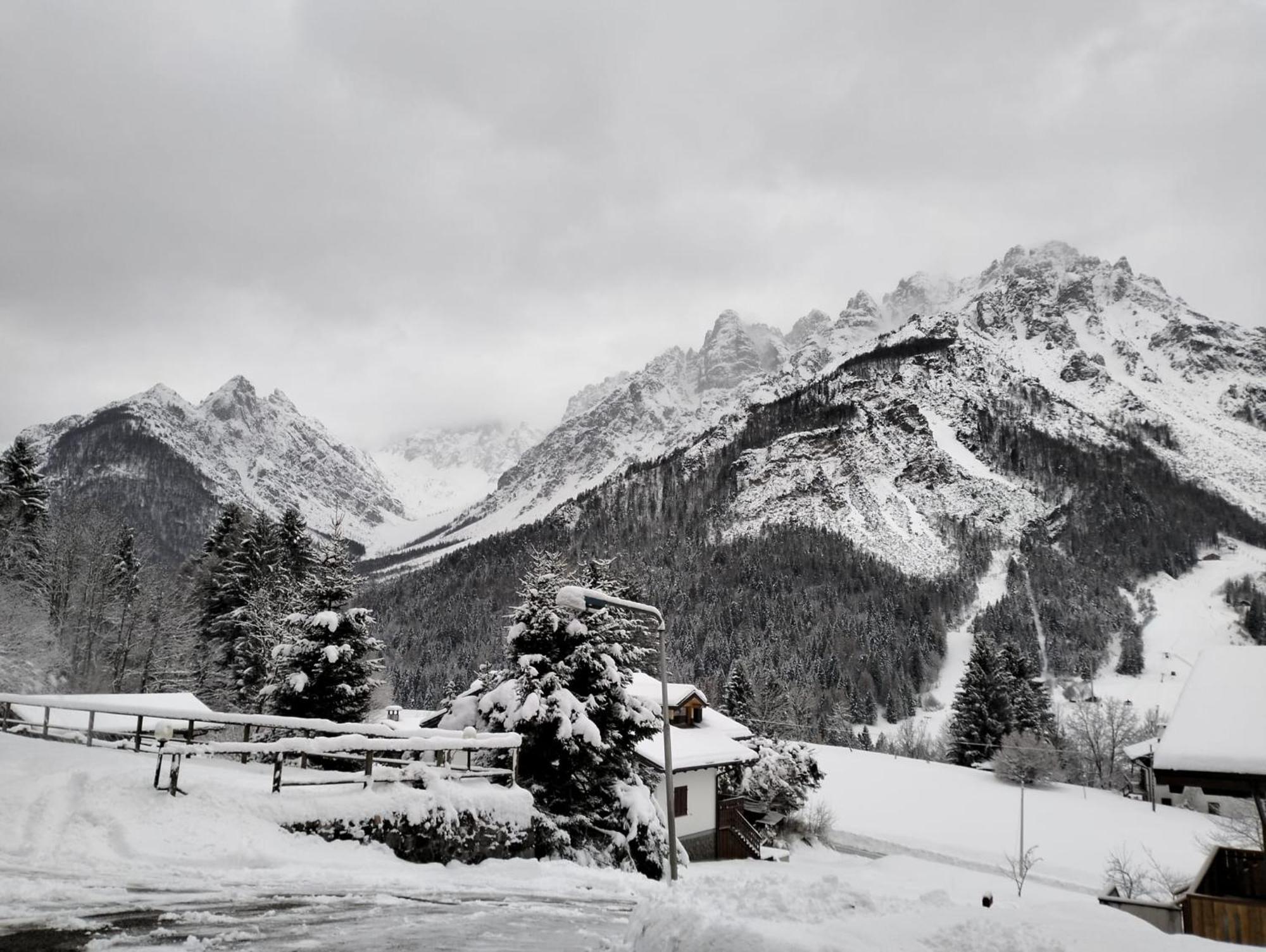 フォルニ・ディ・ソプラVista Mozzafiato Sulle Dolomiti Friulaneアパートメント エクステリア 写真